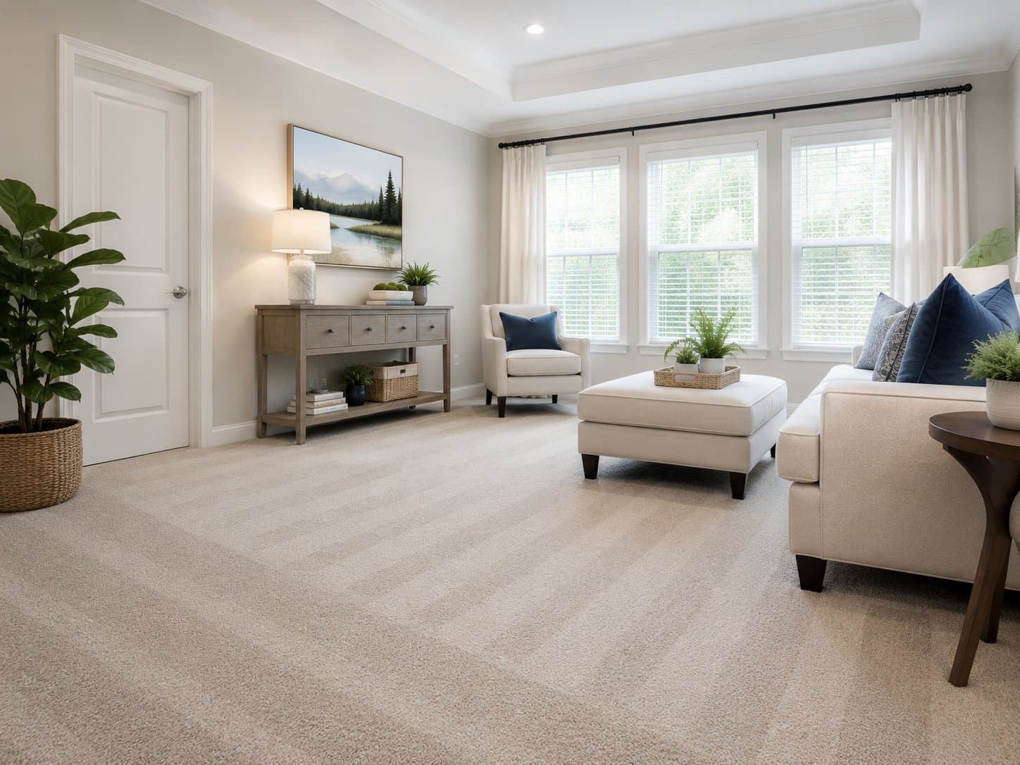 Freshly cleaned carpet